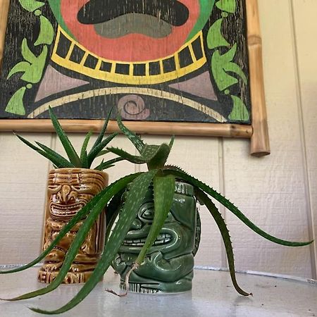 Hau'Oli Place Tiki Cottage In Volcano Exteriör bild