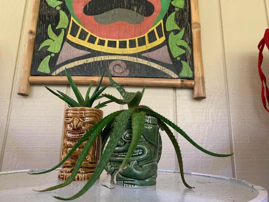 Hau'Oli Place Tiki Cottage In Volcano Exteriör bild
