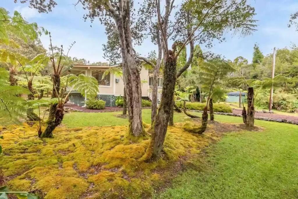 Hau'Oli Place Tiki Cottage In Volcano Exteriör bild