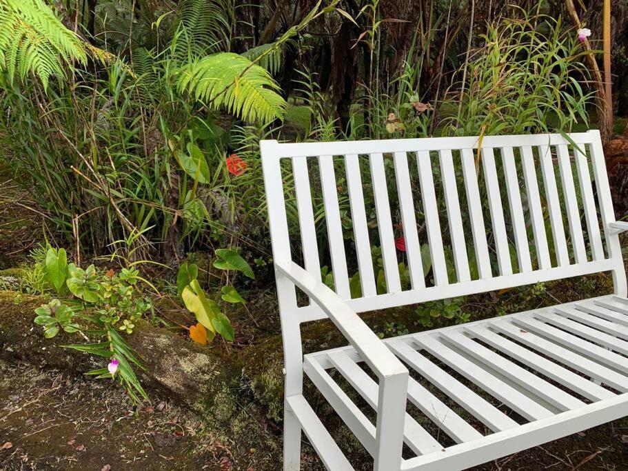 Hau'Oli Place Tiki Cottage In Volcano Exteriör bild
